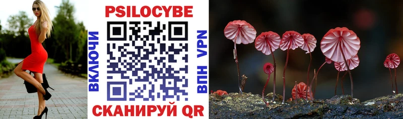 Галлюциногенные грибы Psilocybine cubensis  цена   это клад  Новошахтинск 