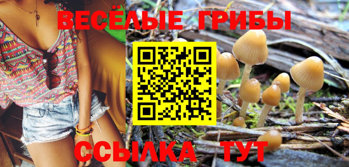 купить   Вход с VPN  Новошахтинск  Галлюциногенные грибы прущие грибы  Галлюциногенные грибы мицелий 
