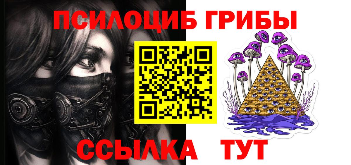 Псилоцибиновые грибы Cubensis Новошахтинск